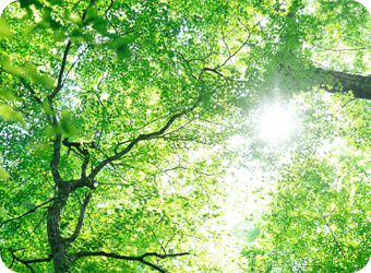 サステナビリティ