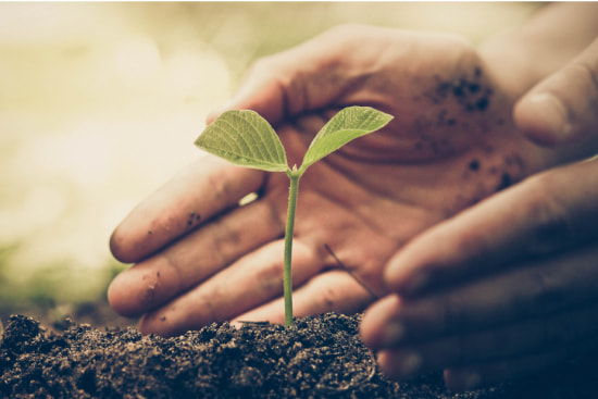 （４）グリーン購入の推進