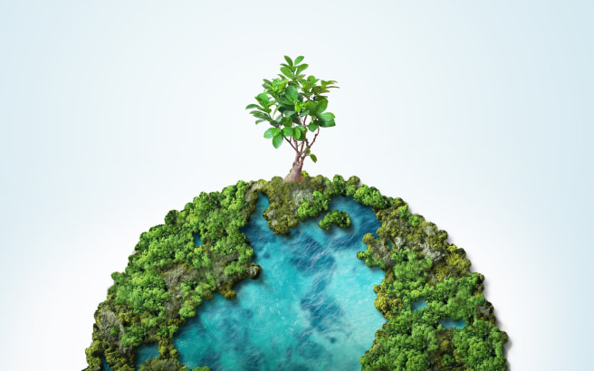 環境への取り組み