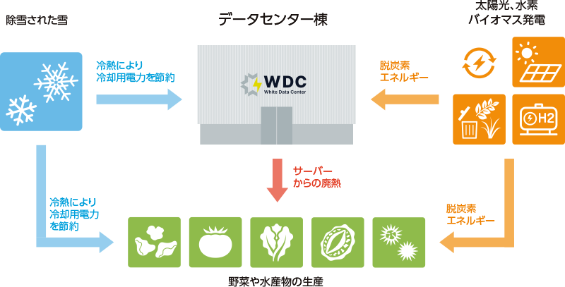 ホワイトデータセンターのイメージ　出所：ホワイトデータセンター